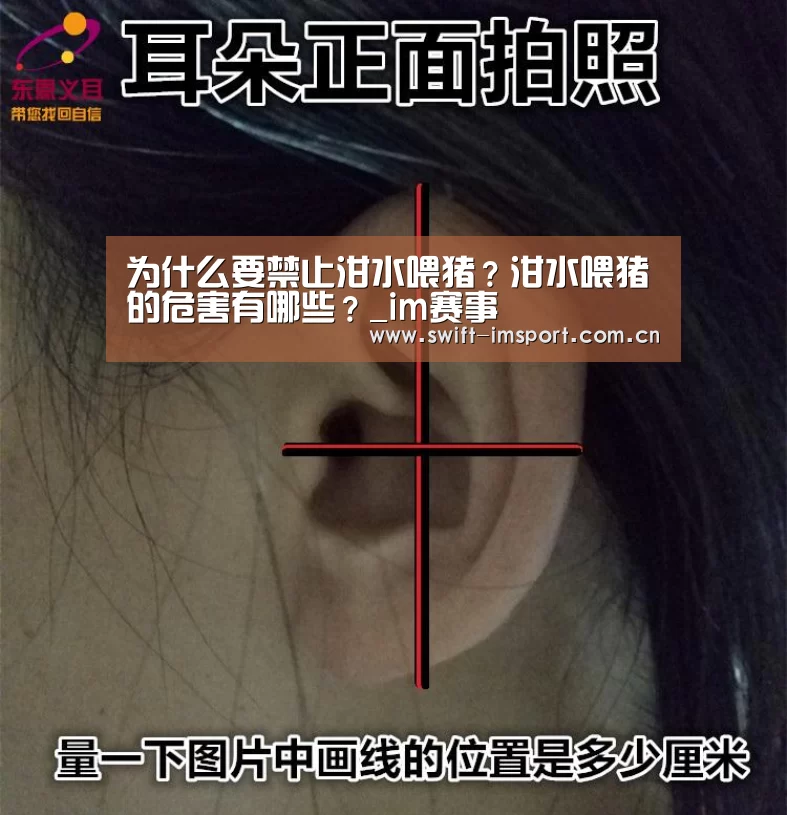 为什么要禁止泔水喂猪?泔水喂猪的危害有哪些?_im赛事(图2) 体育博彩