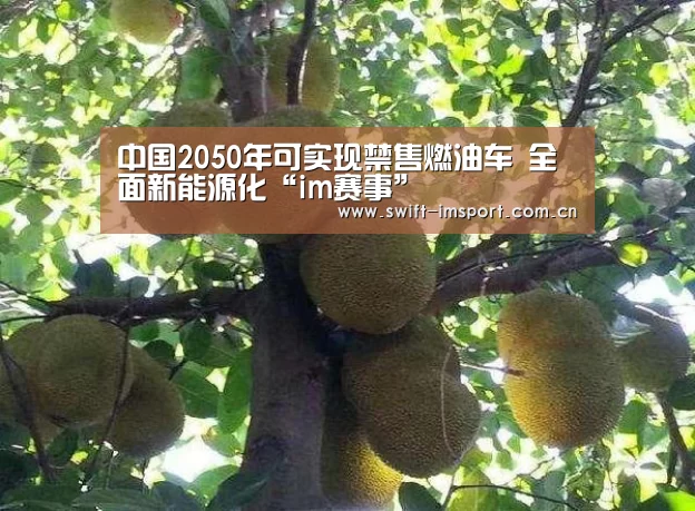 中国2050年可实现禁售燃油车 全面新能源化“im赛事”(图1) 体育博彩